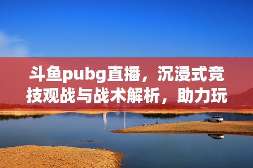 斗鱼pubg直播，沉浸式竞技观战与战术解析，助力玩家提升巅峰表现