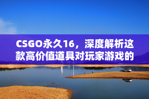 CSGO永久16，深度解析这款高价值道具对玩家游戏的深远影响