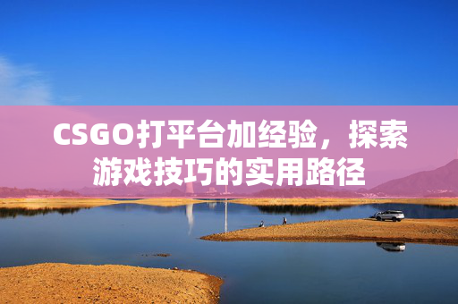 CSGO打平台加经验,探索游戏技巧的实用路径 CSGO打平台加经验,探索游戏技巧的实用路径