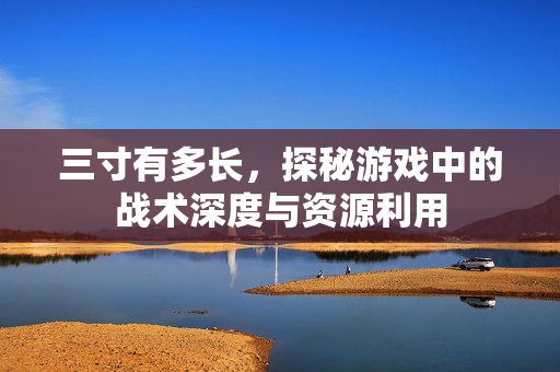 三寸有多长,探秘游戏中的战术深度与资源利用 三寸有多长,探秘游戏中的战术深度与资源利用