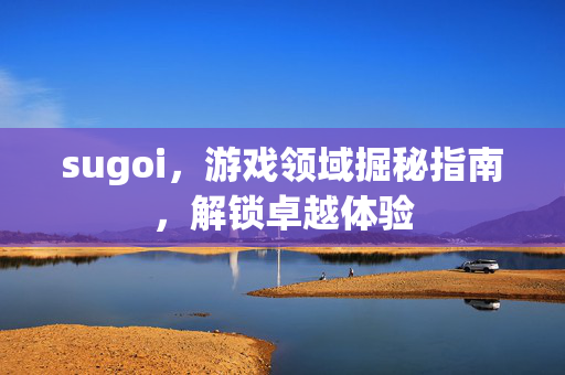 sugoi,游戏领域掘秘指南,解锁卓越体验 sugoi,游戏领域掘秘指南,解锁卓越体验
