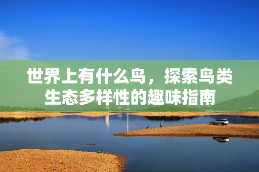 世界上有什么鸟，探索鸟类生态多样性的趣味指南