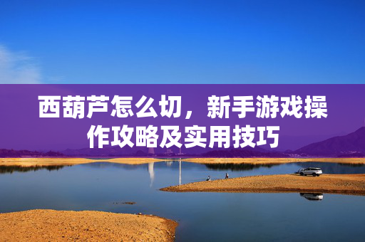 西葫芦怎么切,新手游戏操作攻略及实用技巧 西葫芦怎么切,新手游戏操作攻略及实用技巧