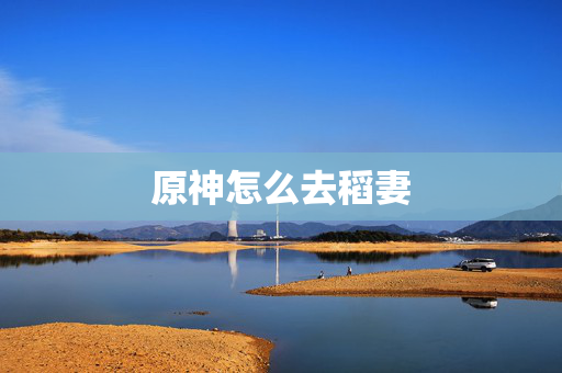 原神怎么去稻妻
