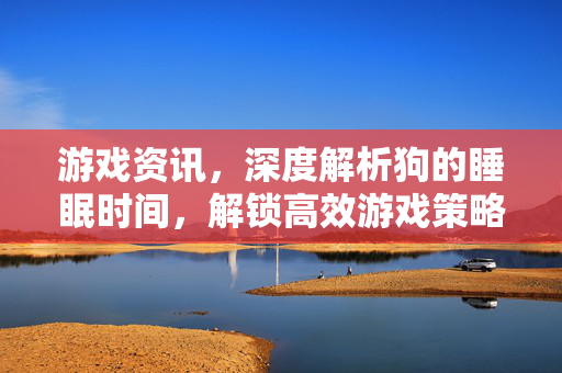 游戏资讯，深度解析狗的睡眠时间，解锁高效游戏策略与潜能开发指南
