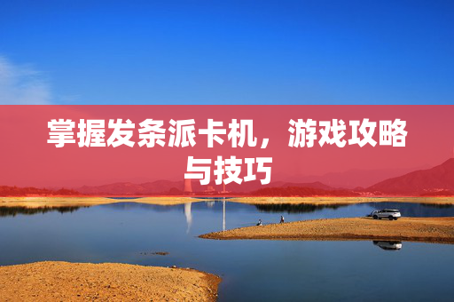 掌握发条派卡机,游戏攻略与技巧 掌握发条派卡机,游戏攻略与技巧