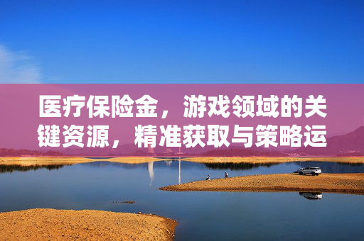 医疗保险金，游戏领域的关键资源，精准获取与策略运用指南