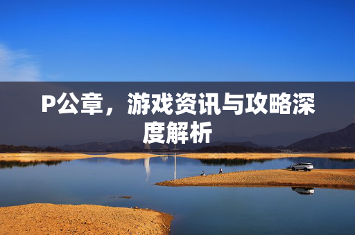 P公章，游戏资讯与攻略深度解析