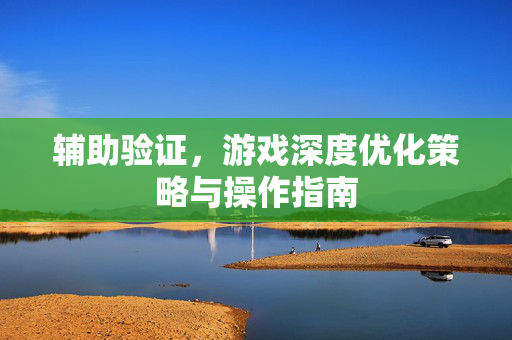 辅助验证，游戏深度优化策略与操作指南