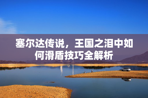 塞尔达传说，王国之泪中如何滑盾技巧全解析