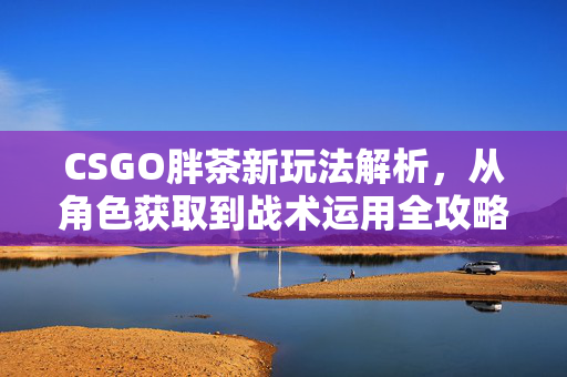 CSGO胖茶新玩法解析,从角色获取到战术运用全攻略 CSGO胖茶新玩法解析,从角色获取到战术运用全攻略