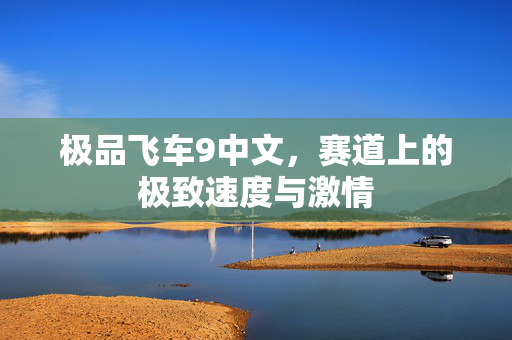 极品飞车9中文，赛道上的极致速度与激情