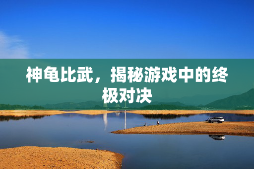 神龟比武，揭秘游戏中的终极对决
