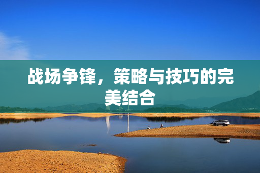 战场争锋，策略与技巧的完美结合