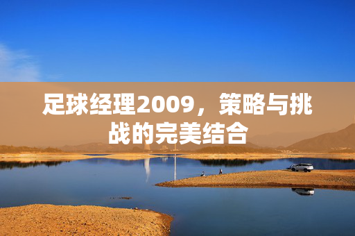 足球经理2009，策略与挑战的完美结合