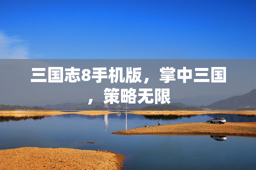 三国志8手机版，掌中三国，策略无限