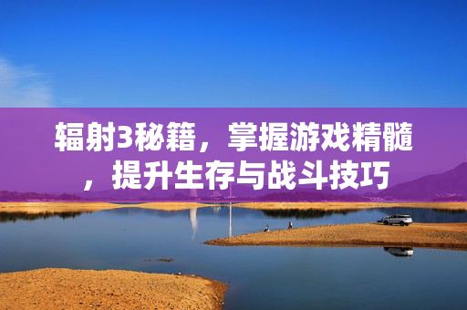 辐射3秘籍，掌握游戏精髓，提升生存与战斗技巧