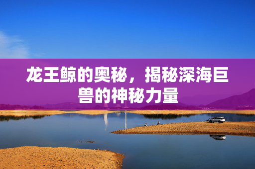龙王鲸的奥秘，揭秘深海巨兽的神秘力量