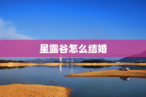 星露谷怎么结婚