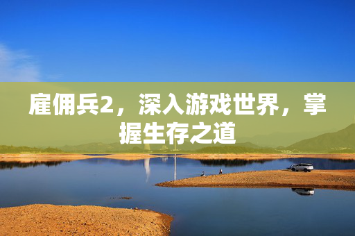 雇佣兵2，深入游戏世界，掌握生存之道