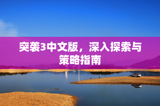 突袭3中文版，深入探索与策略指南