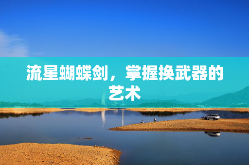 流星蝴蝶剑，掌握换武器的艺术
