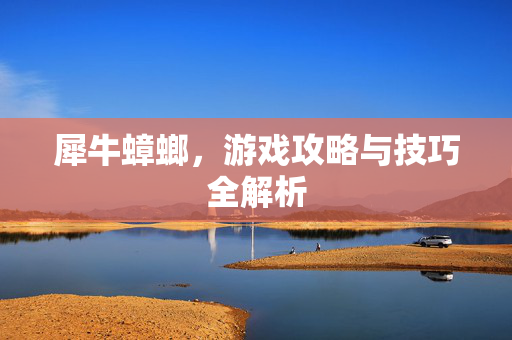犀牛蟑螂，游戏攻略与技巧全解析