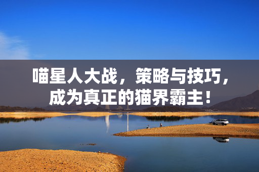 喵星人大战，策略与技巧，成为真正的猫界霸主！