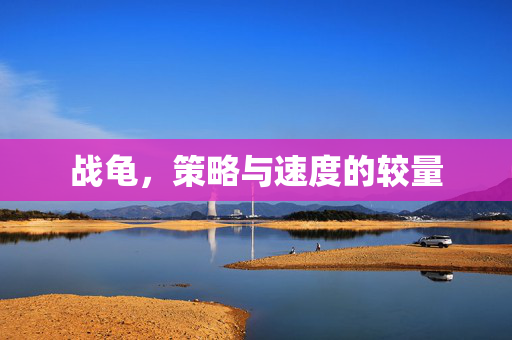 战龟，策略与速度的较量