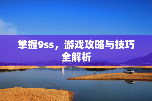 掌握9ss，游戏攻略与技巧全解析