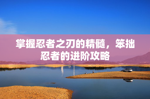 掌握忍者之刃的精髓，笨拙忍者的进阶攻略