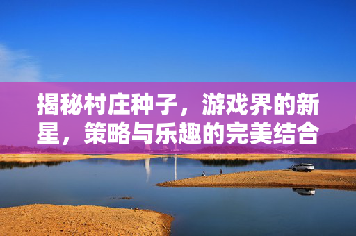 揭秘村庄种子，游戏界的新星，策略与乐趣的完美结合