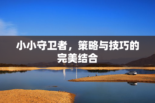 小小守卫者，策略与技巧的完美结合