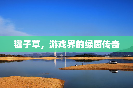 毽子草，游戏界的绿茵传奇
