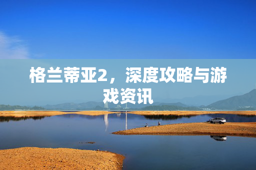 格兰蒂亚2，深度攻略与游戏资讯