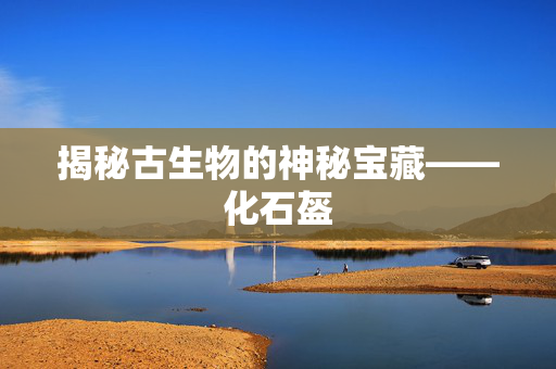 揭秘古生物的神秘宝藏——化石盔