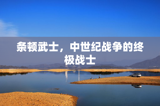 条顿武士，中世纪战争的终极战士