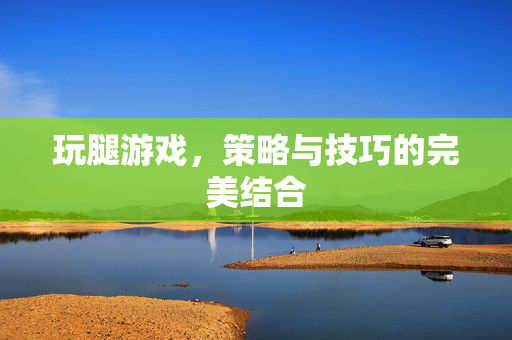 玩腿游戏，策略与技巧的完美结合