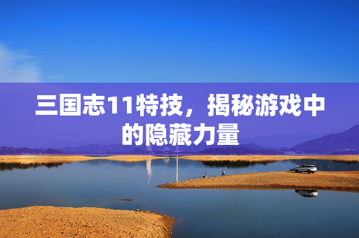 三国志11特技，揭秘游戏中的隐藏力量