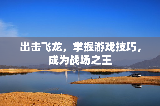 出击飞龙，掌握游戏技巧，成为战场之王