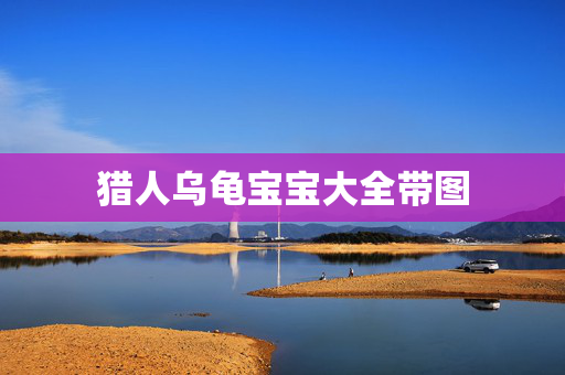 猎人乌龟宝宝大全带图