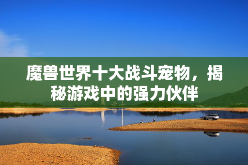 魔兽世界十大战斗宠物，揭秘游戏中的强力伙伴
