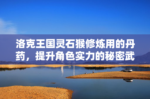 洛克王国灵石猴修炼用的丹药，提升角色实力的秘密武器