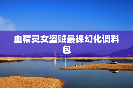 血精灵女盗贼最裸幻化调料包