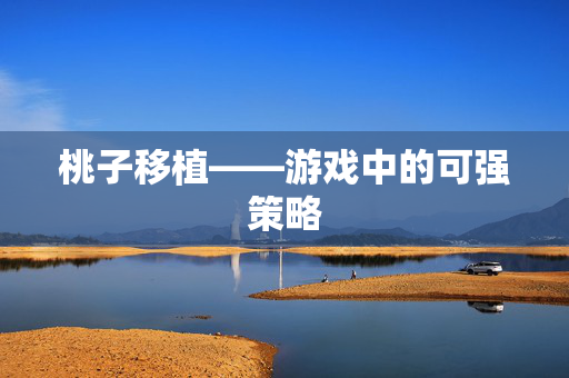 桃子移植——游戏中的可强策略
