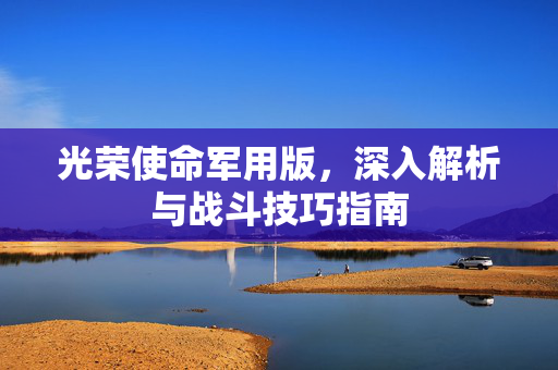 光荣使命军用版，深入解析与战斗技巧指南