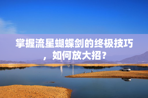 掌握流星蝴蝶剑的终极技巧，如何放大招？