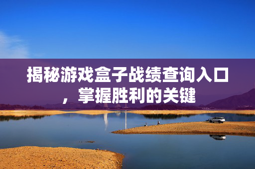 揭秘游戏盒子战绩查询入口，掌握胜利的关键