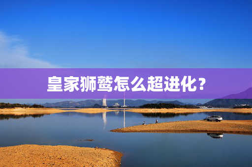 皇家狮鹫怎么超进化？
