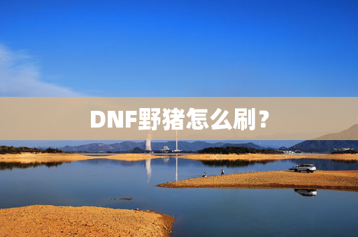 DNF野猪怎么刷? DNF野猪怎么刷?